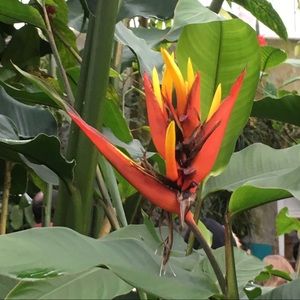 Meet your Posher, Darien